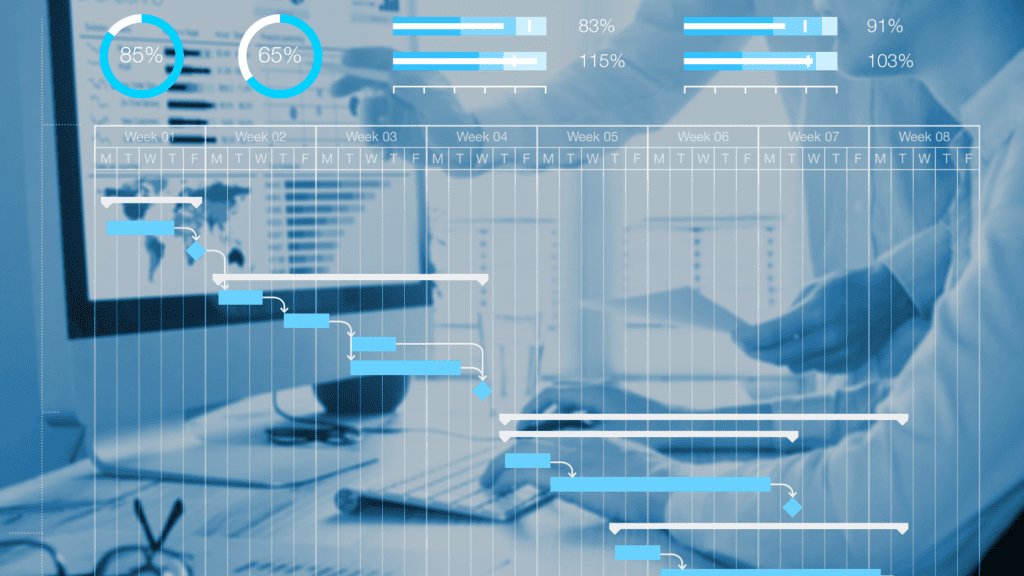 Project Management Software